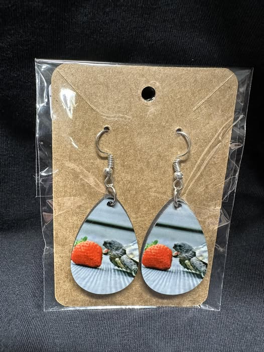 Strawberry & Turtle Sublimated Teardrop Earrings